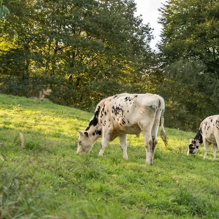 度假居 The Stone House Naturaleza Y Confort Santibanez de Villacarriedo
