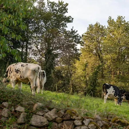 The Stone House Naturaleza Y Confort * Сантибаньес-де-Вильякаррьедо
