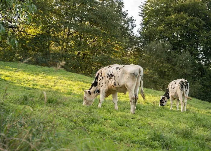 別荘 The Stone House Naturaleza Y Confort Santibáñez de Villacarriedo