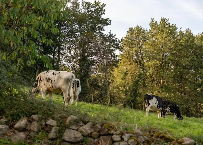 The Stone House Naturaleza Y Confort * Santibáñez de Villacarriedo